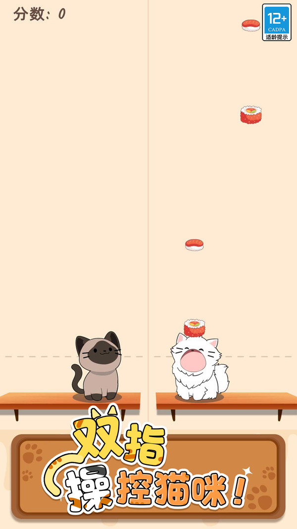 守护小猫截图