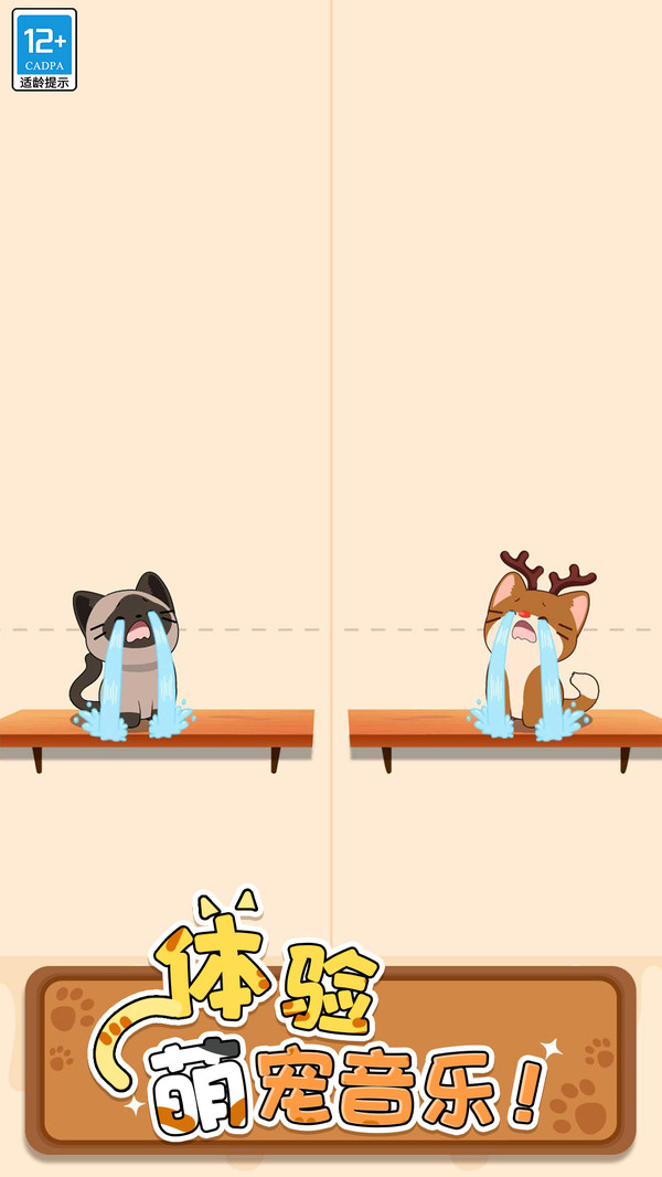 守护小猫截图