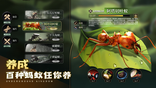 小小蚁国-超快发育版截图