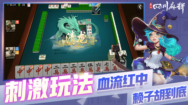 蜀山四川麻将截图