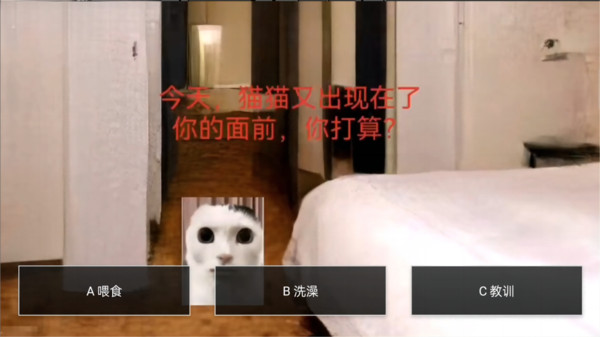 猫猫惊魂夜截图