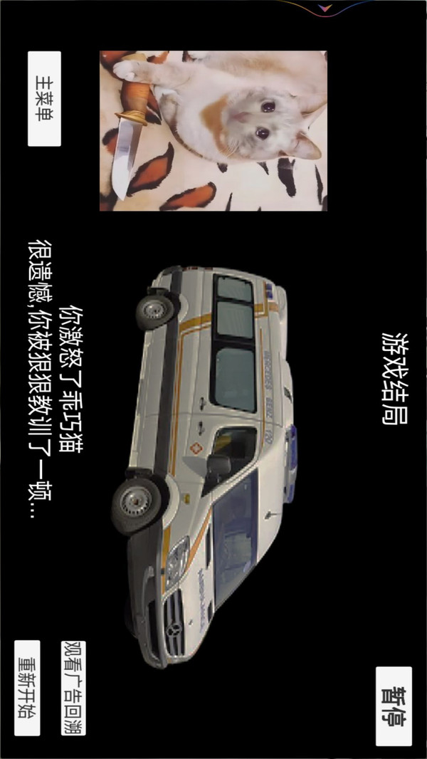 猫猫惊魂夜截图