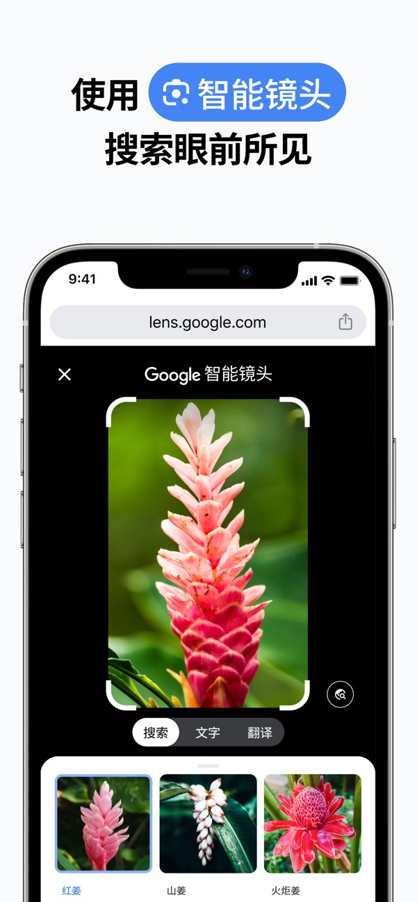 Google Chrome截图