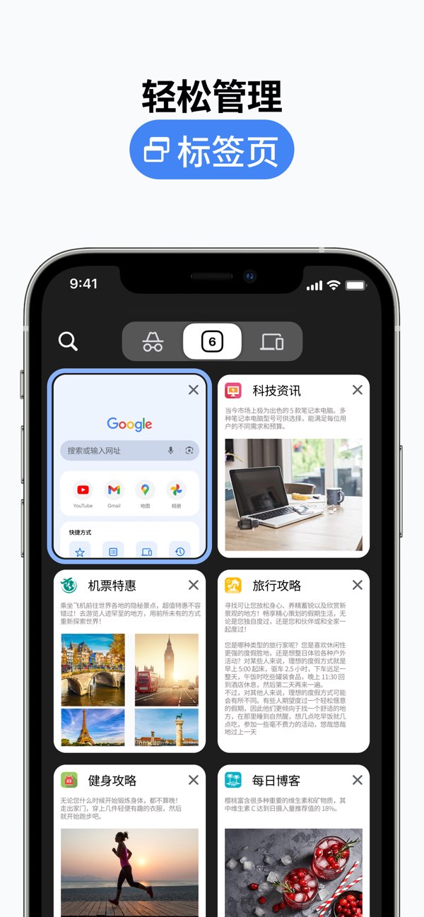 Google Chrome截图