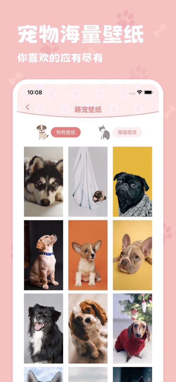 逗宠截图