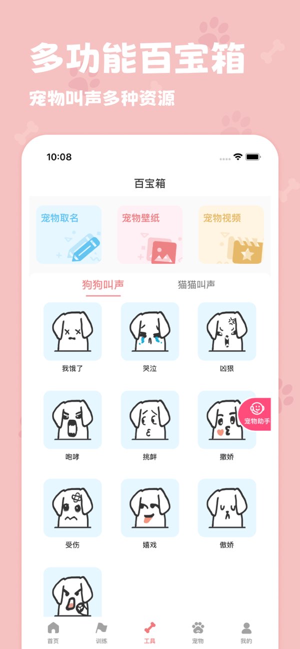 逗宠截图