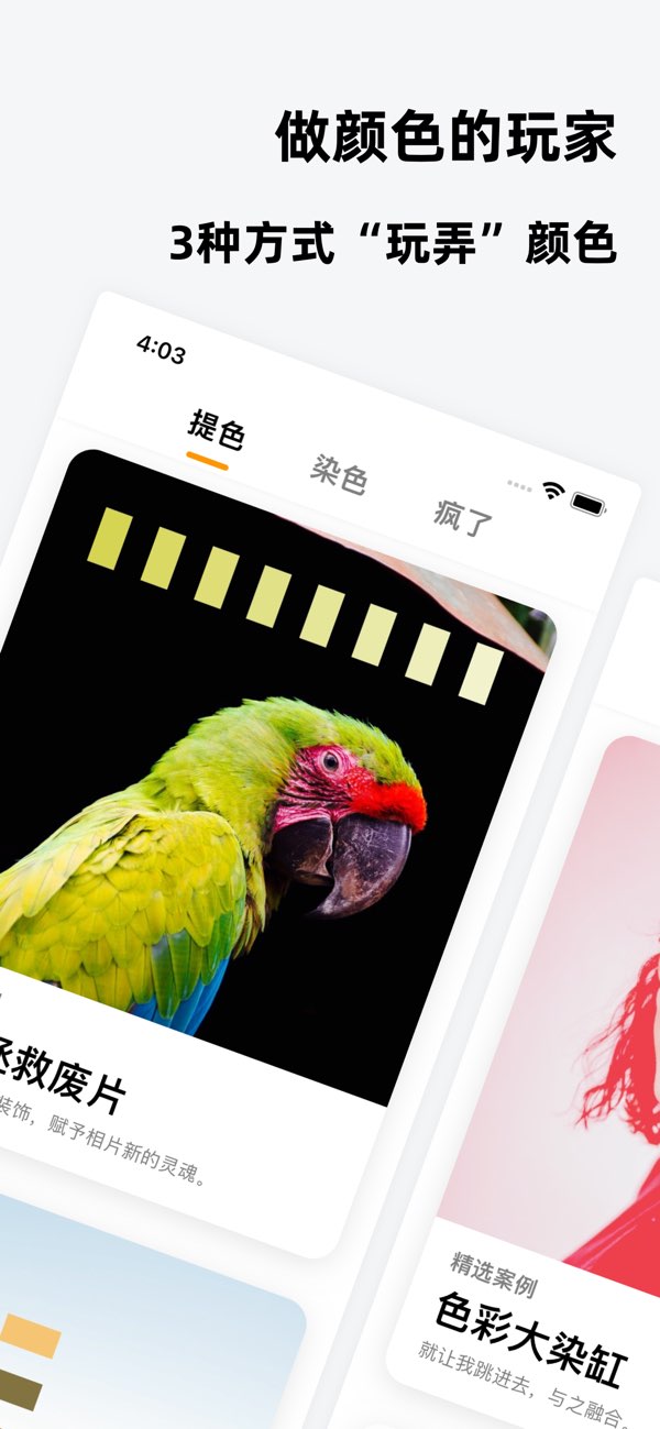 色卡截图