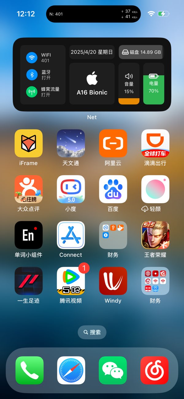 Net截图