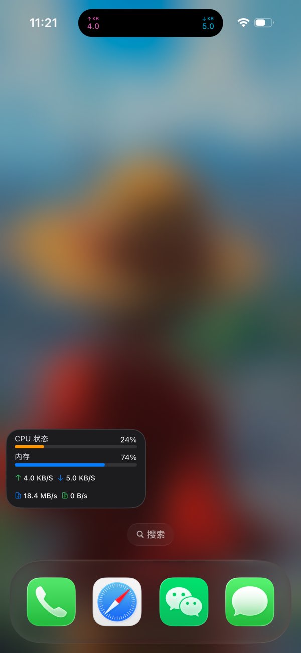 Net截图