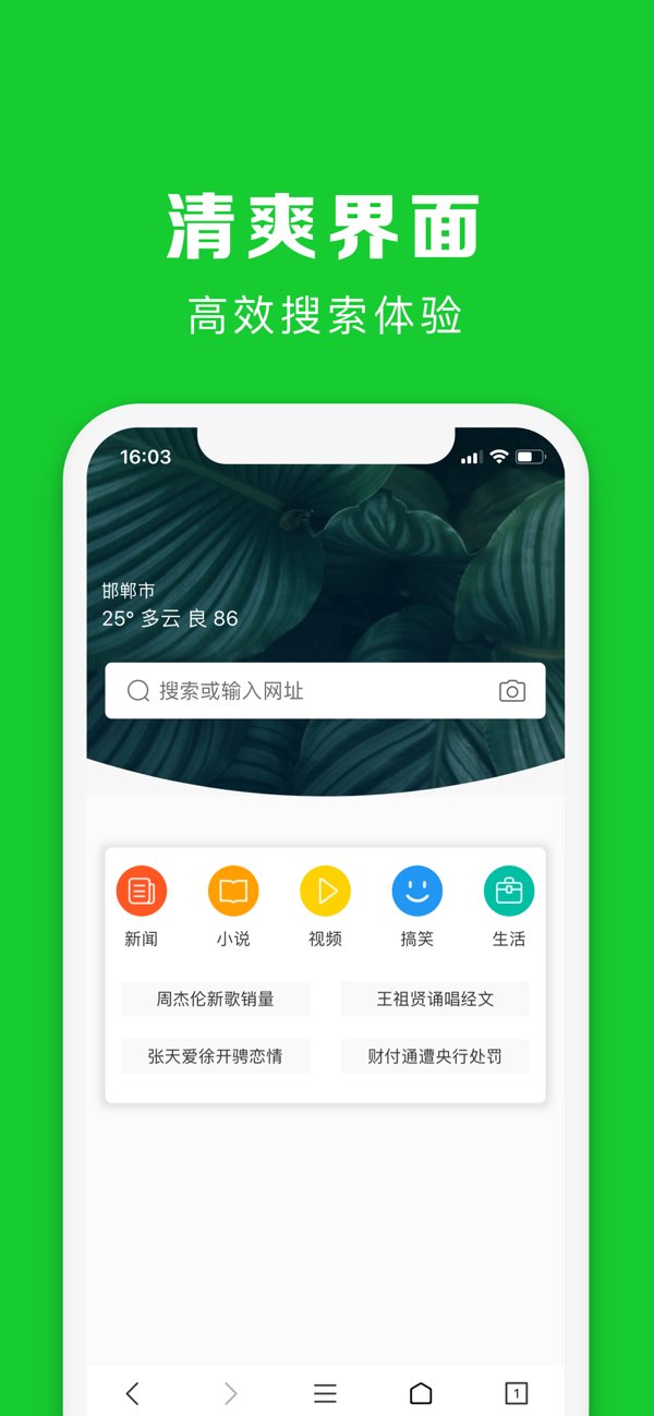 快速浏览器截图