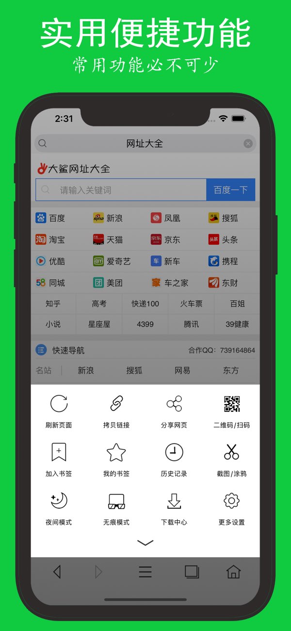 闪速浏览器截图