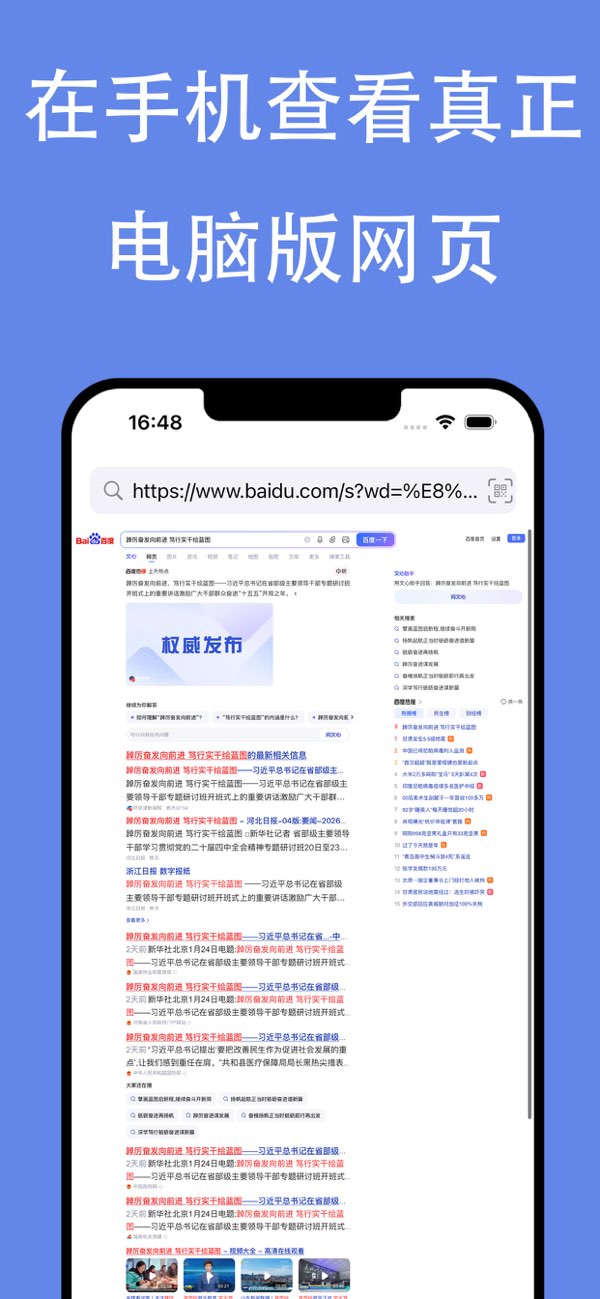 电脑版浏览器截图
