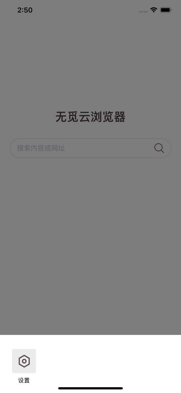 无觅云浏览器截图