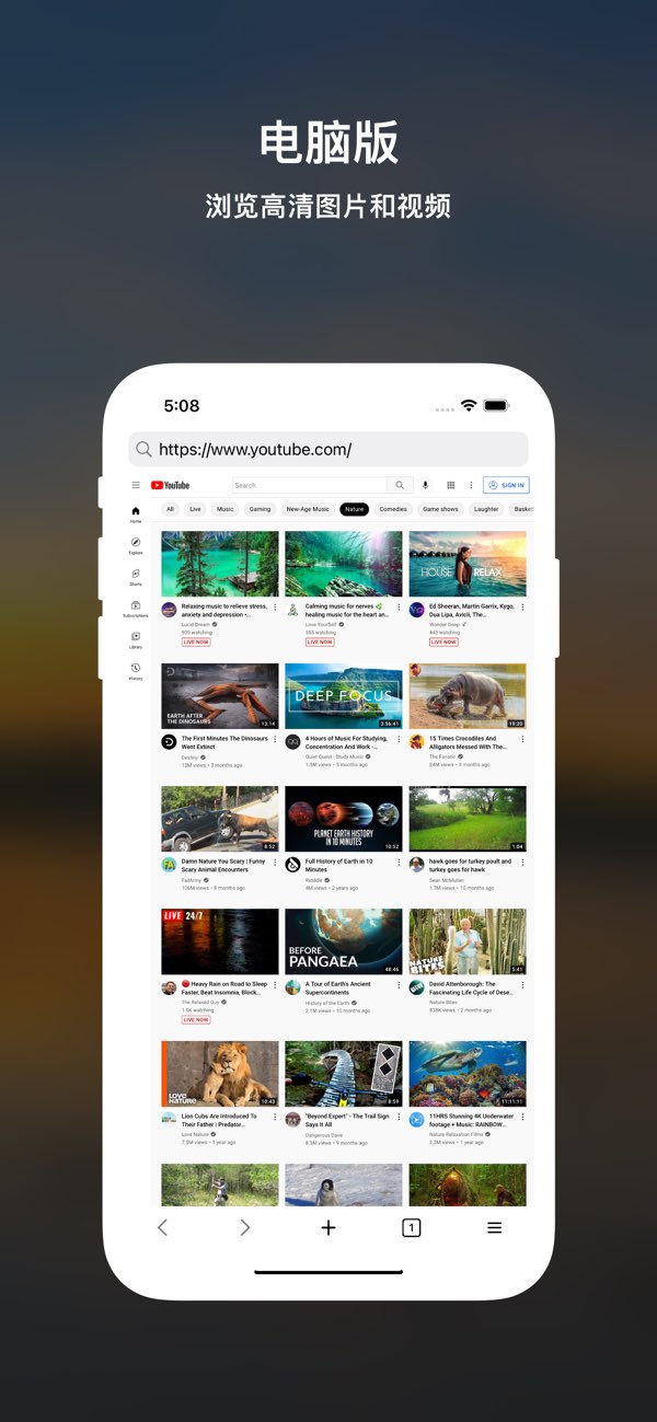 DTNet浏览器截图