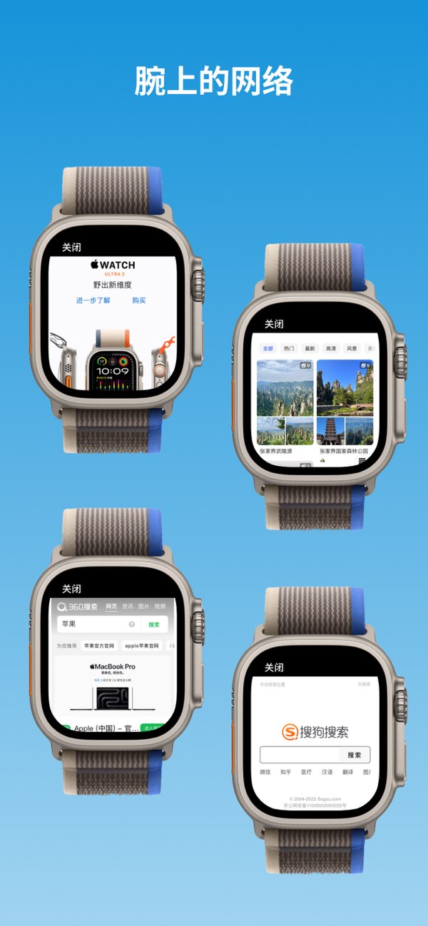浏览器截图