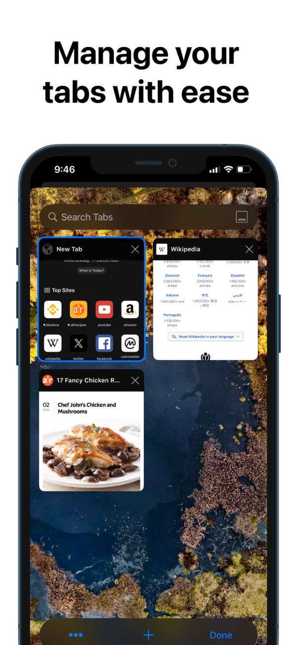 RedApp Lite截图