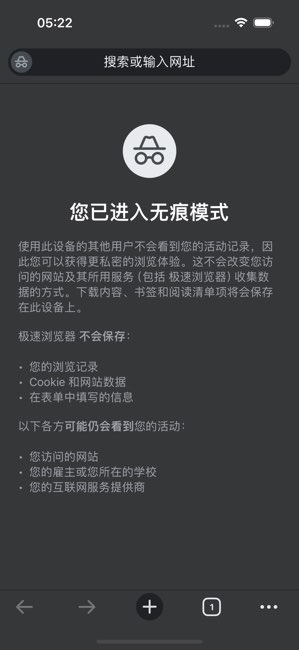 极速浏览器截图
