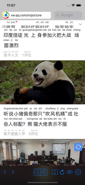 拼音浏览器截图