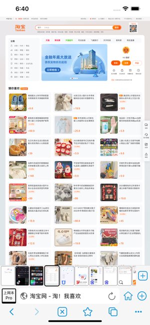 电脑浏览器截图