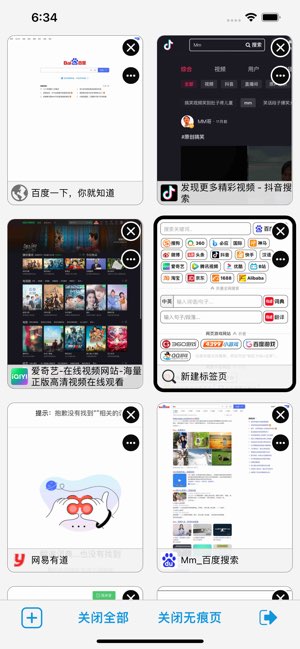 电脑浏览器截图