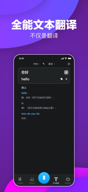极刻翻译截图