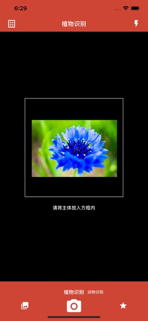 识花神器截图