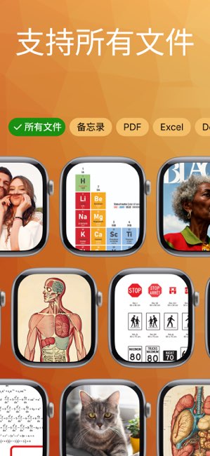 Watchy截图