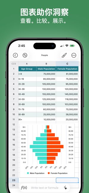 Spreadsheet App截图