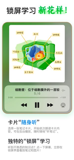 闪卡截图
