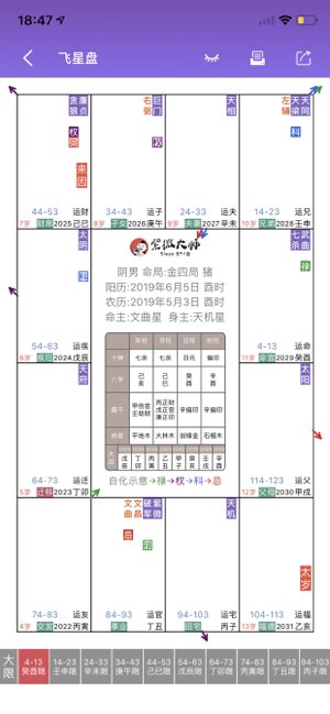 紫薇斗数截图