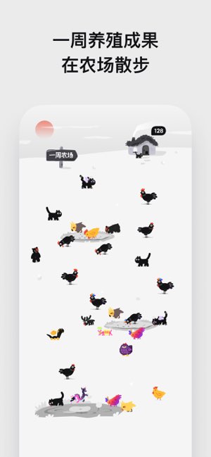 小鸡专注截图