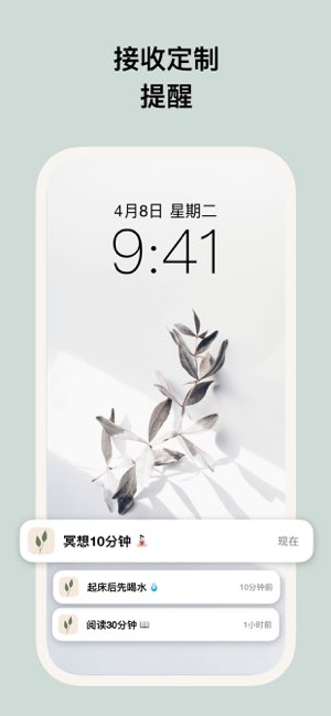 种子习惯截图