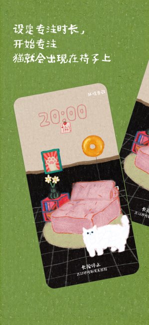 椅子上有猫截图