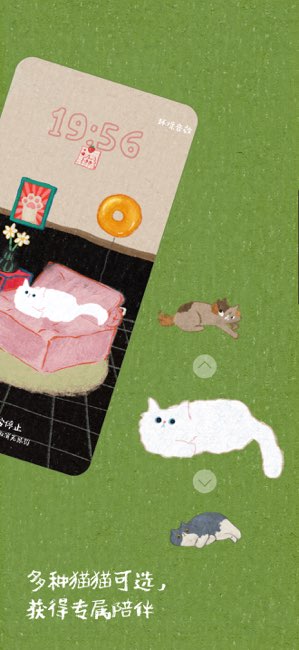 椅子上有猫截图