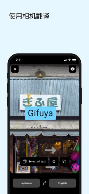 DeepL截图