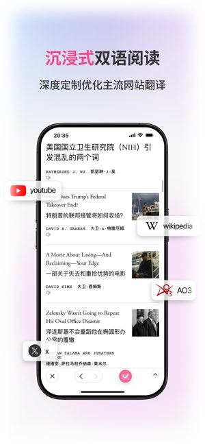 沉浸式翻译截图