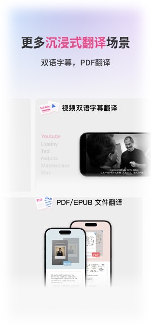 沉浸式翻译截图