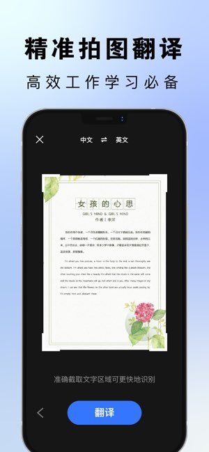 翻译截图