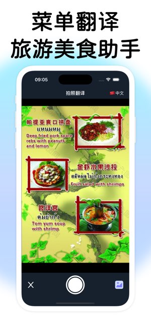 菜单翻译截图