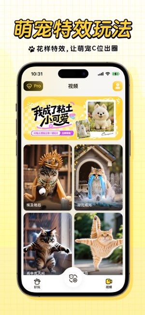 宠玩截图