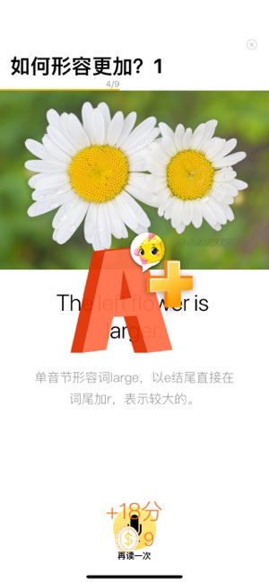 盒子鱼英语截图