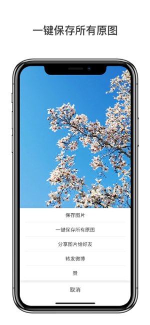 微博轻享版截图