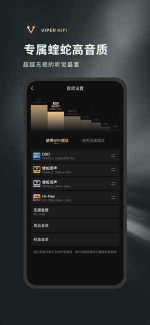 VIPER HiFi截图