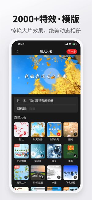 彩视截图
