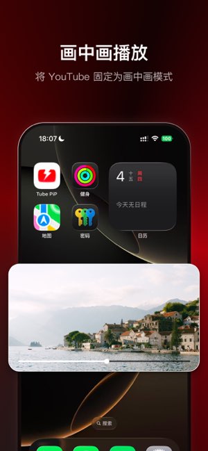 Tube PiP截图