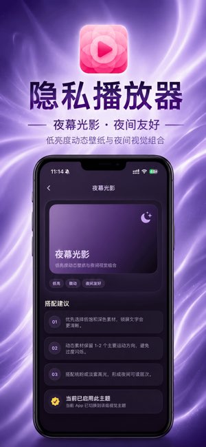 隐私播放器截图
