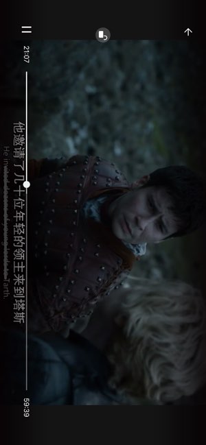 YYPlayer截图