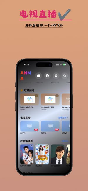ANNA截图