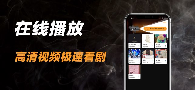 私人播放器截图