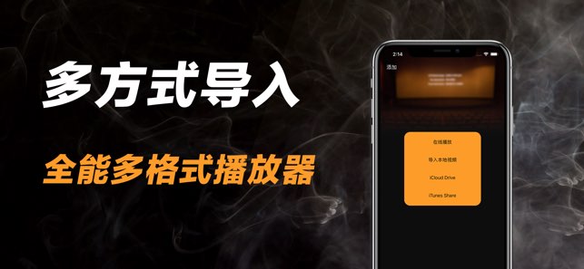 私人播放器截图